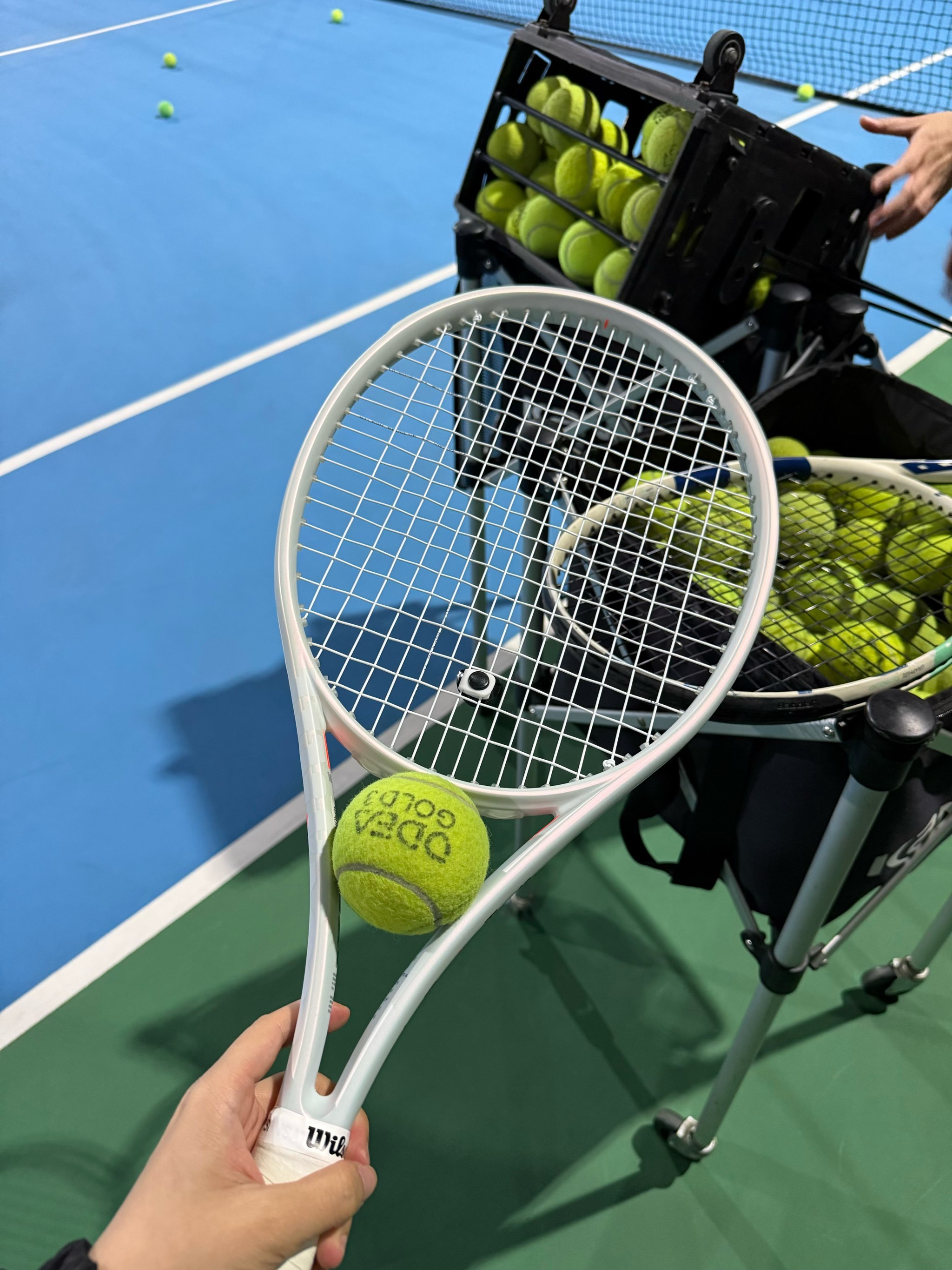 调整和提升 调整和提升